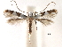  ( - CCDB-29484-B01)  @11 [ ] CreativeCommons - Attribution (2017) CBG Photography Group Centre for Biodiversity Genomics