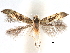  ( - CCDB-29484-C03)  @11 [ ] CreativeCommons - Attribution (2017) CBG Photography Group Centre for Biodiversity Genomics