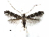  ( - CCDB-29485-F11)  @11 [ ] CreativeCommons - Attribution (2017) CBG Photography Group Centre for Biodiversity Genomics