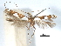  ( - CCDB-29485-H04)  @11 [ ] CreativeCommons - Attribution (2017) CBG Photography Group Centre for Biodiversity Genomics
