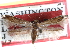  ( - CCDB-29486-H11)  @11 [ ] CreativeCommons - Attribution (2017) CBG Photography Group Centre for Biodiversity Genomics