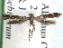  ( - CCDB-29488-F02)  @11 [ ] CreativeCommons - Attribution (2017) CBG Photography Group Centre for Biodiversity Genomics