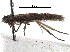  ( - CCDB-29489-D04)  @11 [ ] CreativeCommons - Attribution (2017) CBG Photography Group Centre for Biodiversity Genomics