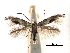  ( - CCDB-29491-C03)  @11 [ ] CreativeCommons - Attribution (2017) CBG Photography Group Centre for Biodiversity Genomics