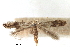  ( - CCDB-29491-D09)  @11 [ ] CreativeCommons - Attribution (2017) CBG Photography Group Centre for Biodiversity Genomics