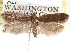  ( - CCDB-29492-C12)  @11 [ ] CreativeCommons - Attribution (2017) CBG Photography Group Centre for Biodiversity Genomics