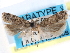  ( - CCDB-29492-D06)  @11 [ ] CreativeCommons - Attribution (2017) CBG Photography Group Centre for Biodiversity Genomics
