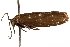  ( - CCDB-29460-A07)  @11 [ ] CreativeCommons - Attribution (2017) CBG Photography Group Centre for Biodiversity Genomics