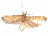  ( - CCDB-29461-E12)  @11 [ ] CreativeCommons - Attribution (2017) CBG Photography Group Centre for Biodiversity Genomics