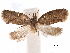  ( - CCDB-29462-D04)  @11 [ ] CreativeCommons - Attribution (2018) CBG Photography Group Centre for Biodiversity Genomics
