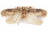  ( - CCDB-29463-C10)  @11 [ ] CreativeCommons - Attribution (2017) CBG Photography Group Centre for Biodiversity Genomics