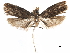  ( - CCDB-29464-B03)  @11 [ ] CreativeCommons - Attribution (2018) CBG Photography Group Centre for Biodiversity Genomics