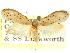  ( - CCDB-29465-B04)  @11 [ ] CreativeCommons - Attribution (2018) CBG Photography Group Centre for Biodiversity Genomics