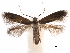  ( - CCDB-29472-D10)  @11 [ ] CreativeCommons - Attribution (2018) CBG Photography Group Centre for Biodiversity Genomics