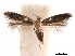  ( - CCDB-29472-D12)  @11 [ ] CreativeCommons - Attribution (2018) CBG Photography Group Centre for Biodiversity Genomics