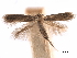  ( - CCDB-29472-E01)  @11 [ ] CreativeCommons - Attribution (2018) CBG Photography Group Centre for Biodiversity Genomics