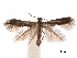  ( - CCDB-29472-E02)  @11 [ ] CreativeCommons - Attribution (2018) CBG Photography Group Centre for Biodiversity Genomics