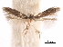  ( - CCDB-29472-E03)  @11 [ ] CreativeCommons - Attribution (2018) CBG Photography Group Centre for Biodiversity Genomics