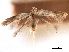  ( - CCDB-29472-E04)  @11 [ ] CreativeCommons - Attribution (2018) CBG Photography Group Centre for Biodiversity Genomics
