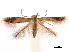  ( - CCDB-29472-E07)  @11 [ ] CreativeCommons - Attribution (2018) CBG Photography Group Centre for Biodiversity Genomics