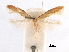 ( - CCDB-29472-E10)  @11 [ ] CreativeCommons - Attribution (2018) CBG Photography Group Centre for Biodiversity Genomics