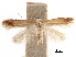  ( - CCDB-29472-F01)  @11 [ ] CreativeCommons - Attribution (2018) CBG Photography Group Centre for Biodiversity Genomics