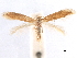  ( - CCDB-29472-G03)  @11 [ ] CreativeCommons - Attribution (2018) CBG Photography Group Centre for Biodiversity Genomics