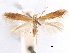  ( - CCDB-29472-G04)  @11 [ ] CreativeCommons - Attribution (2018) CBG Photography Group Centre for Biodiversity Genomics
