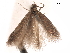  ( - CCDB-29472-G09)  @11 [ ] CreativeCommons - Attribution (2018) CBG Photography Group Centre for Biodiversity Genomics