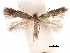  ( - CCDB-29472-G10)  @11 [ ] CreativeCommons - Attribution (2018) CBG Photography Group Centre for Biodiversity Genomics