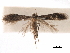  ( - CCDB-29472-G12)  @11 [ ] CreativeCommons - Attribution (2018) CBG Photography Group Centre for Biodiversity Genomics