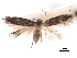  ( - CCDB-29472-H02)  @11 [ ] CreativeCommons - Attribution (2018) CBG Photography Group Centre for Biodiversity Genomics