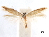  ( - CCDB-29472-H04)  @11 [ ] CreativeCommons - Attribution (2018) CBG Photography Group Centre for Biodiversity Genomics
