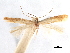  ( - CCDB-29472-H05)  @11 [ ] CreativeCommons - Attribution (2018) CBG Photography Group Centre for Biodiversity Genomics