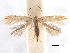  ( - CCDB-29472-H07)  @11 [ ] CreativeCommons - Attribution (2018) CBG Photography Group Centre for Biodiversity Genomics