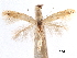  ( - CCDB-29472-H08)  @11 [ ] CreativeCommons - Attribution (2018) CBG Photography Group Centre for Biodiversity Genomics