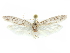  (Holcocera H10 - CCDB-29474-D06)  @11 [ ] CreativeCommons - Attribution (2018) CBG Photography Group Centre for Biodiversity Genomics