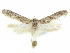 (Holcocera sp. 9/H16 - CCDB-29474-D07)  @11 [ ] CreativeCommons - Attribution (2018) CBG Photography Group Centre for Biodiversity Genomics