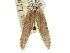  (Holcocera sp. 10/H28 - CCDB-29474-D11)  @11 [ ] CreativeCommons - Attribution (2018) CBG Photography Group Centre for Biodiversity Genomics