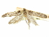  (Holcocera sp. 11/H29 - CCDB-29474-E02)  @11 [ ] CreativeCommons - Attribution (2018) CBG Photography Group Centre for Biodiversity Genomics