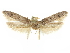  ( - CCDB-29474-E08)  @11 [ ] CreativeCommons - Attribution (2018) CBG Photography Group Centre for Biodiversity Genomics