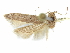  ( - CCDB-29474-E10)  @11 [ ] CreativeCommons - Attribution (2018) CBG Photography Group Centre for Biodiversity Genomics