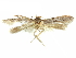  ( - CCDB-29474-H02)  @11 [ ] CreativeCommons - Attribution (2018) CBG Photography Group Centre for Biodiversity Genomics