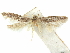  ( - CCDB-29474-H04)  @11 [ ] CreativeCommons - Attribution (2018) CBG Photography Group Centre for Biodiversity Genomics