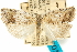  ( - CCDB-29475-E01)  @11 [ ] CreativeCommons - Attribution (2018) CBG Photography Group Centre for Biodiversity Genomics
