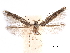  ( - CCDB-29476-D09)  @11 [ ] CreativeCommons - Attribution (2017) CBG Photography Group Centre for Biodiversity Genomics