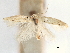 ( - CCDB-29477-A12)  @11 [ ] CreativeCommons - Attribution (2018) CBG Photography Group Centre for Biodiversity Genomics