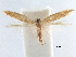  ( - CCDB-29477-B02)  @11 [ ] CreativeCommons - Attribution (2018) CBG Photography Group Centre for Biodiversity Genomics