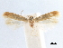  ( - CCDB-29477-B03)  @11 [ ] CreativeCommons - Attribution (2018) CBG Photography Group Centre for Biodiversity Genomics