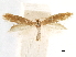  ( - CCDB-29477-B04)  @11 [ ] CreativeCommons - Attribution (2018) CBG Photography Group Centre for Biodiversity Genomics